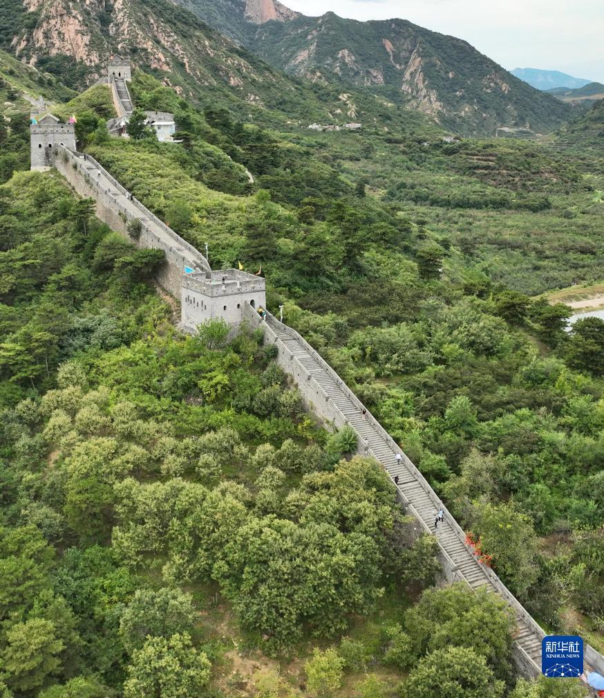 炸三张金花游戏下载可提现